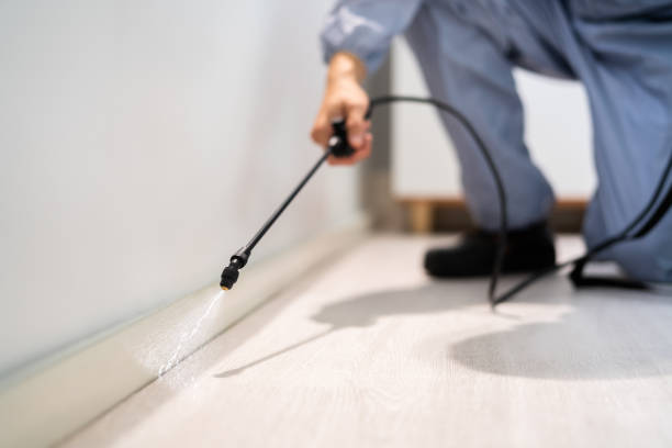Licensed Wasp Removal service in Lynnville, IN - Show Me Pest Control