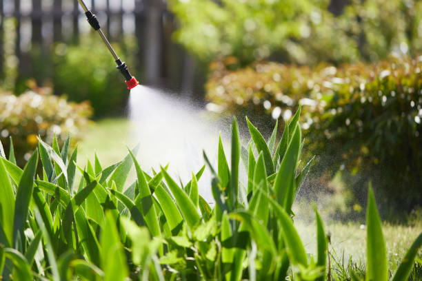 24/7 Emergency Wasp Removal experts in Lynnville, IN