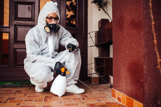 Reliable Wasp Removal contractor in Lynnville, IN by Show Me Pest Control
